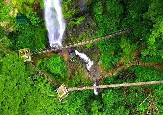 A brief description of Amedzofe Canopy Walkway in Ghana.